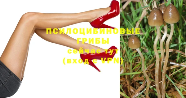 каннабис Вяземский