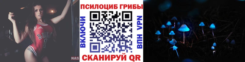 Псилоцибиновые грибы Cubensis  закладки  Кемерово 